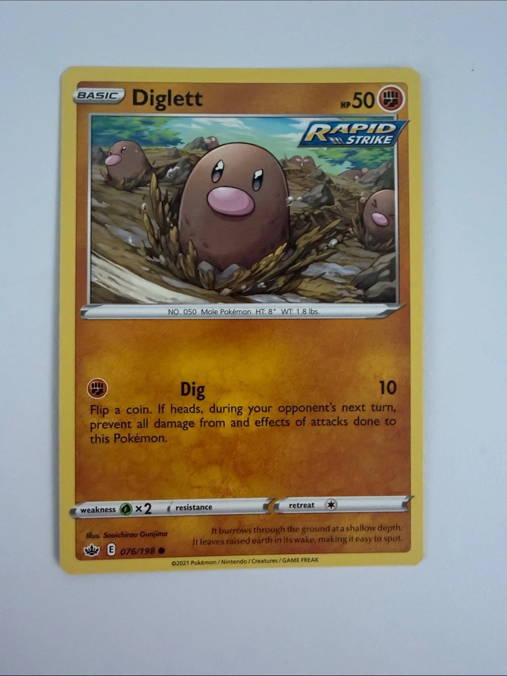 🌎 Ground Pokémon Card Lot | Drilbur Excadrill Donphan Rhyhorn ✨5/$25✨